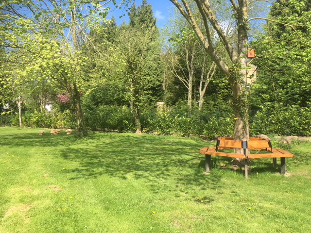 benches around a tree 3